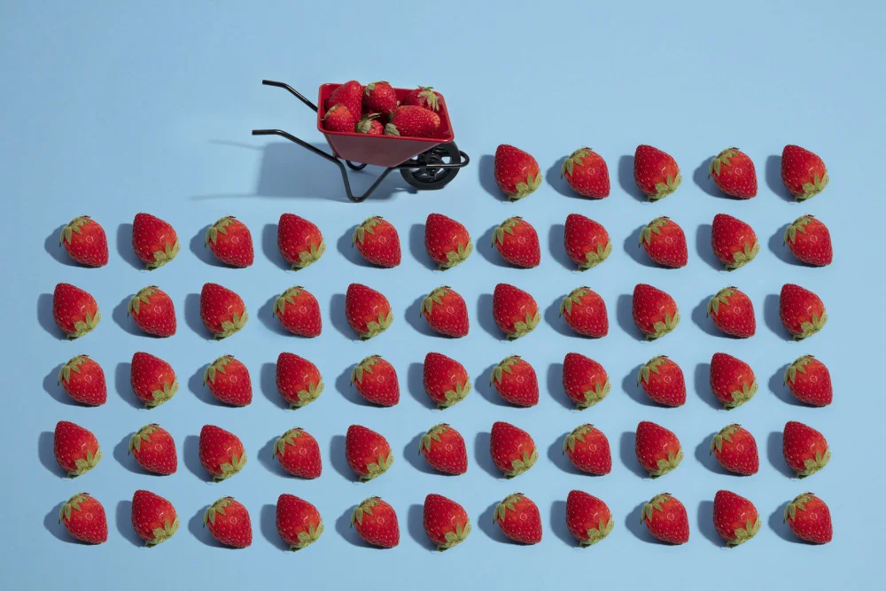 Ramiro, Julia: Fresas
