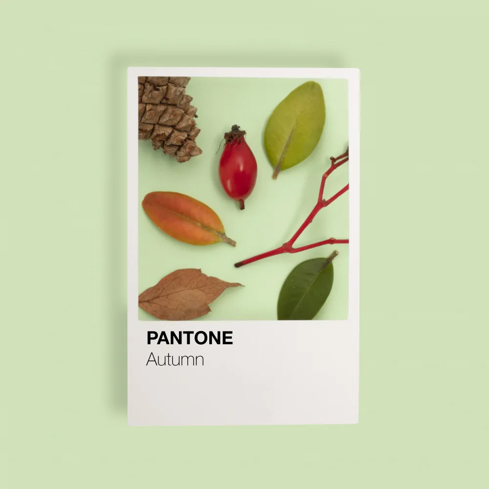 Ramiro, Julia: Otoño
