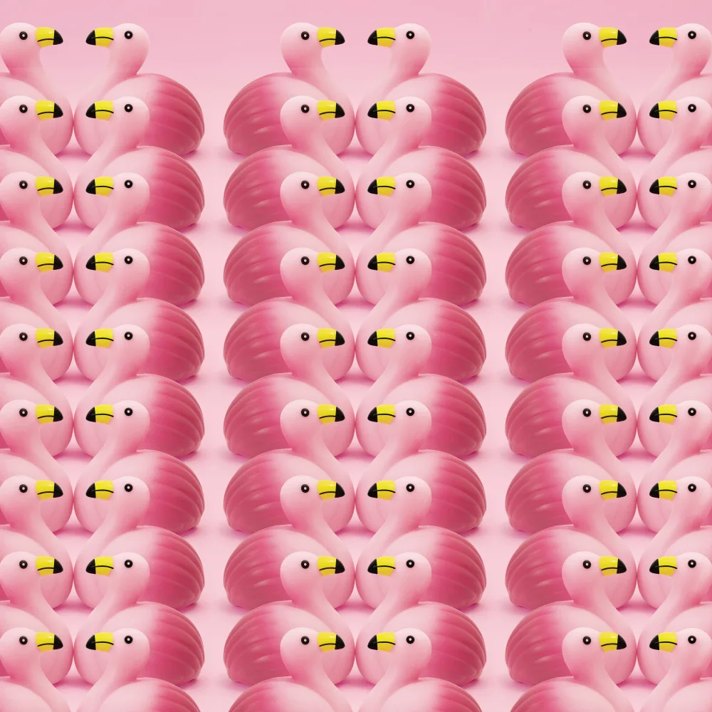 Ramiro, Julia: Flamencos.5