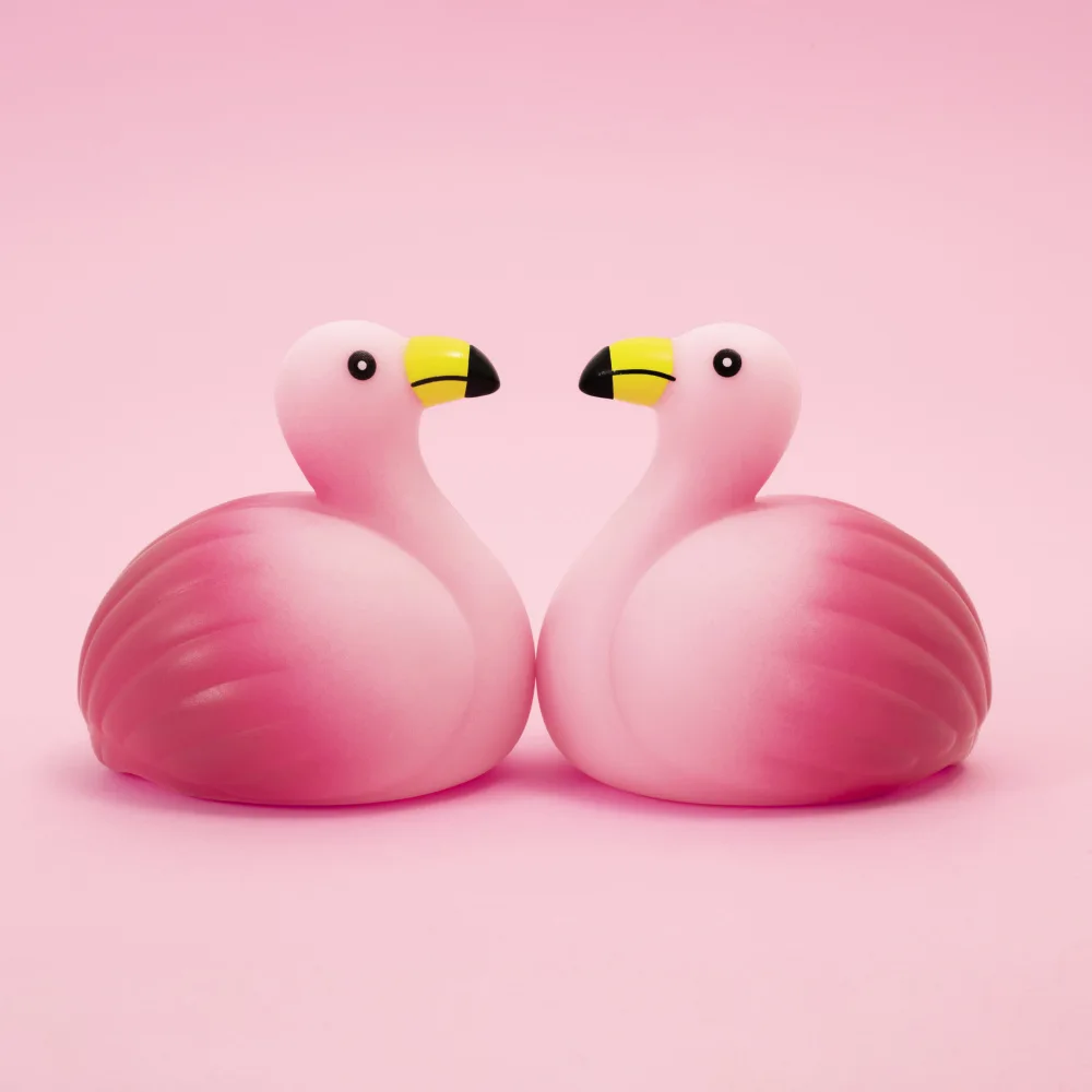 Ramiro, Julia: Flamencos.4.1