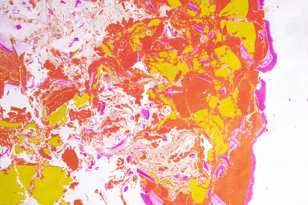 Ramiro, Julia: pintura 11