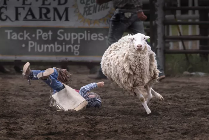ma, sherry: Victor in Mutton Busting