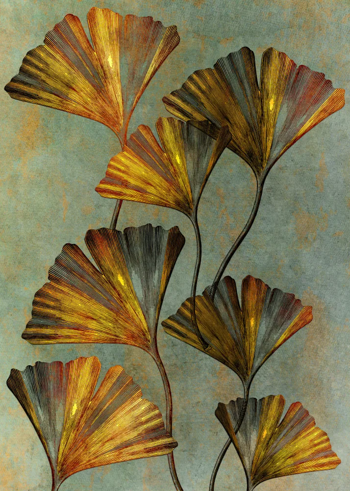 Jaszke, Justyna: Ginko biloba 2