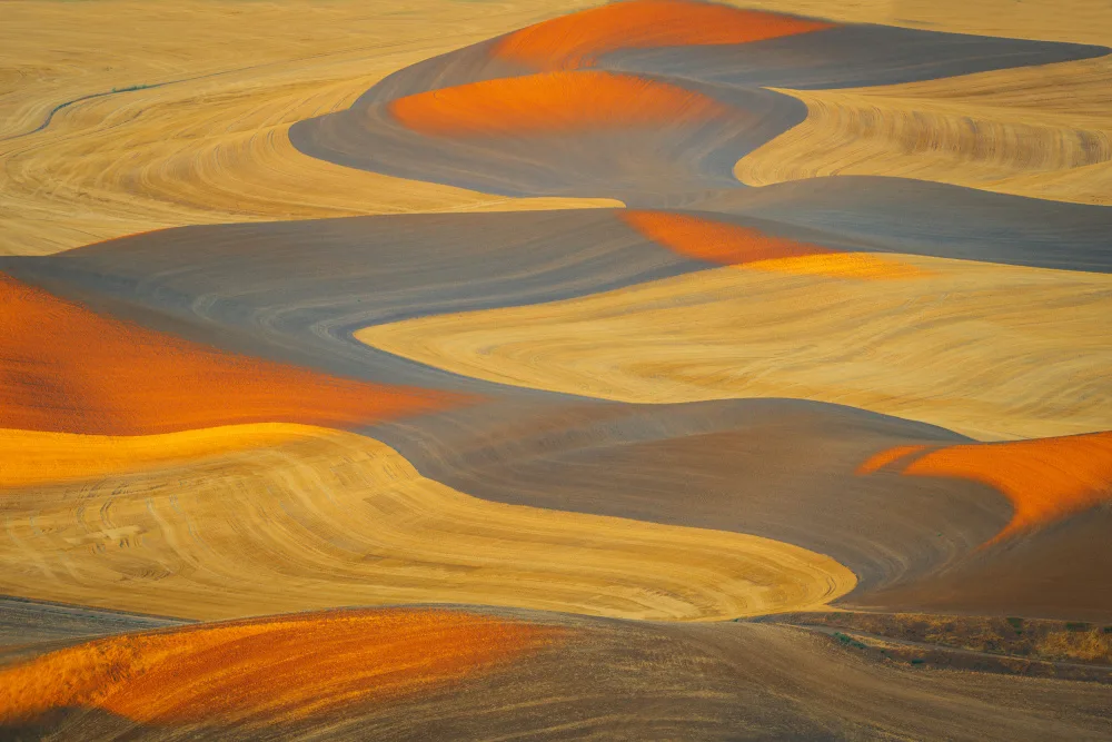 Shi, Mei: Painted Land