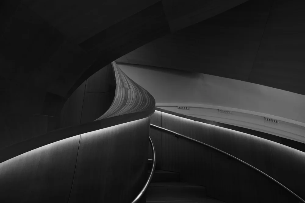 Zhao, Emma: Light and lines