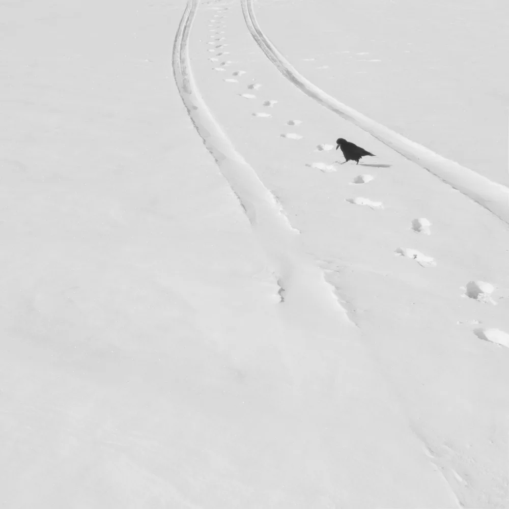 Nodeh, Mostafa: Poems of silence