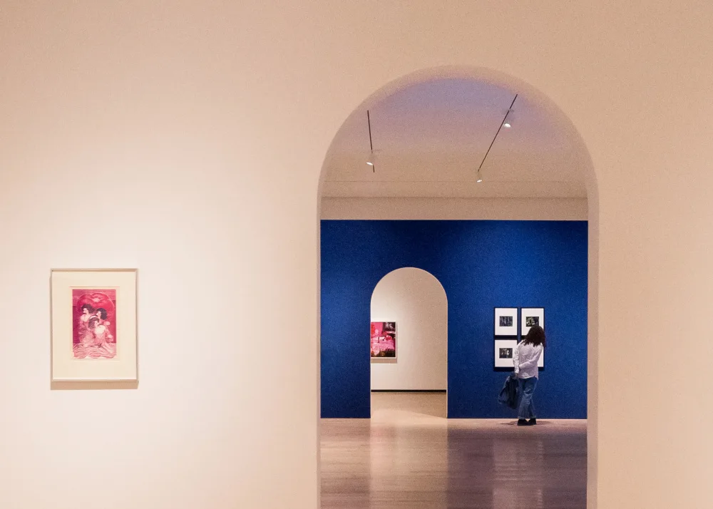 Ôtomo, Michiko: Pink pictures