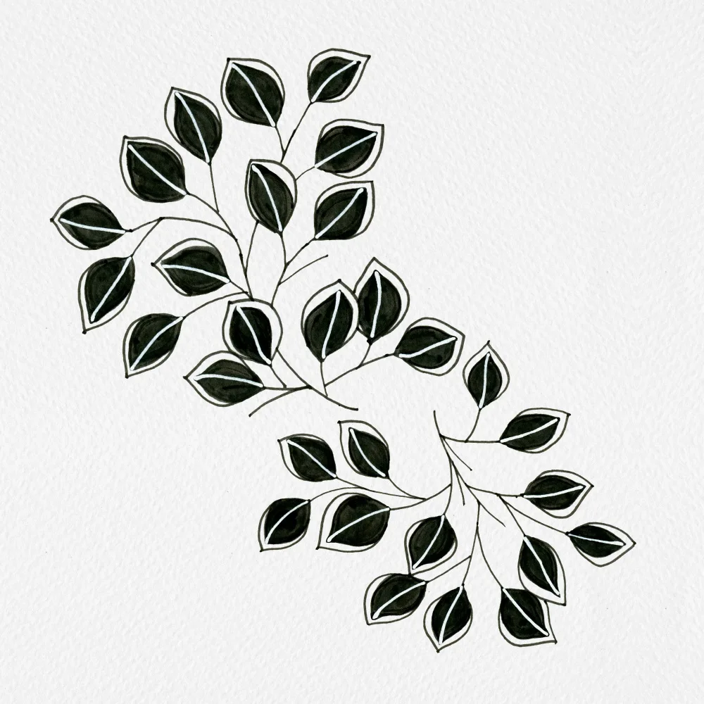 Channell, Michele: Feuilles qui coulent noir blanc