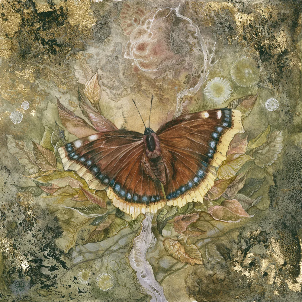 Law, Stephanie: Smuteční plášť Butterfly