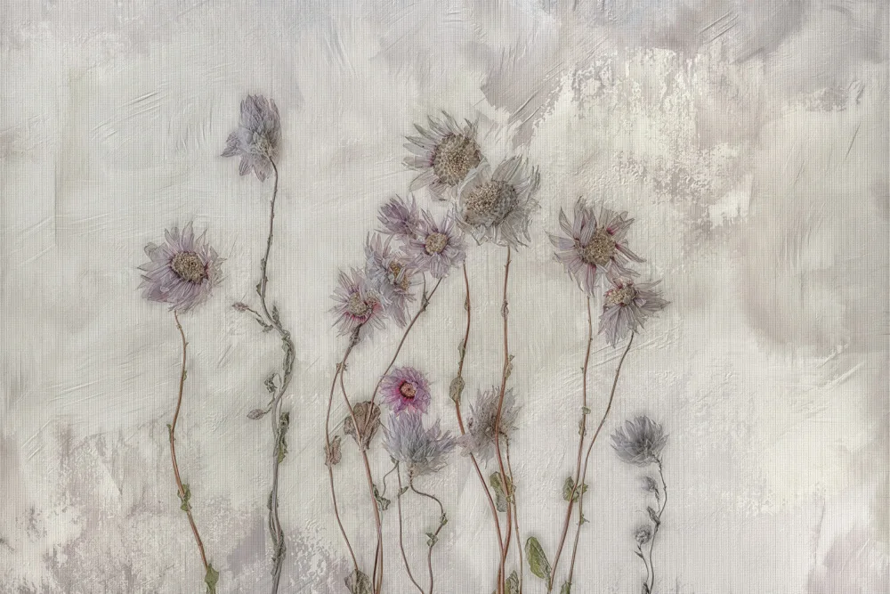 Stas, Marie-anne: Dried flowers