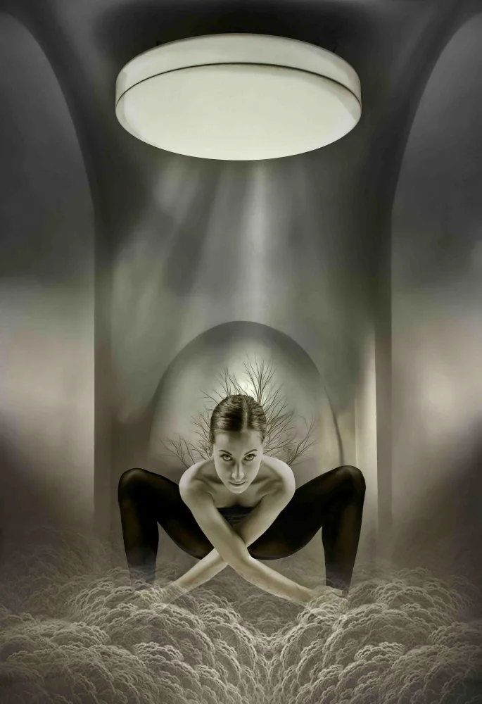 Valckx, Gerard: The Ballerina
