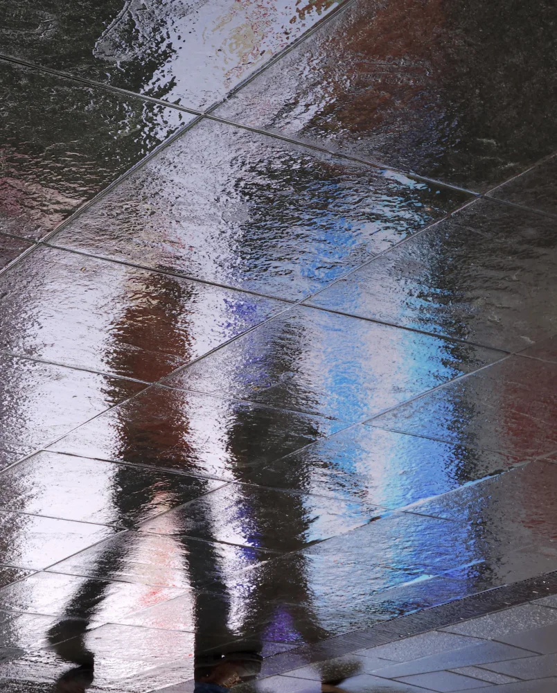 Lesica, Ivan: Réflexions de marche