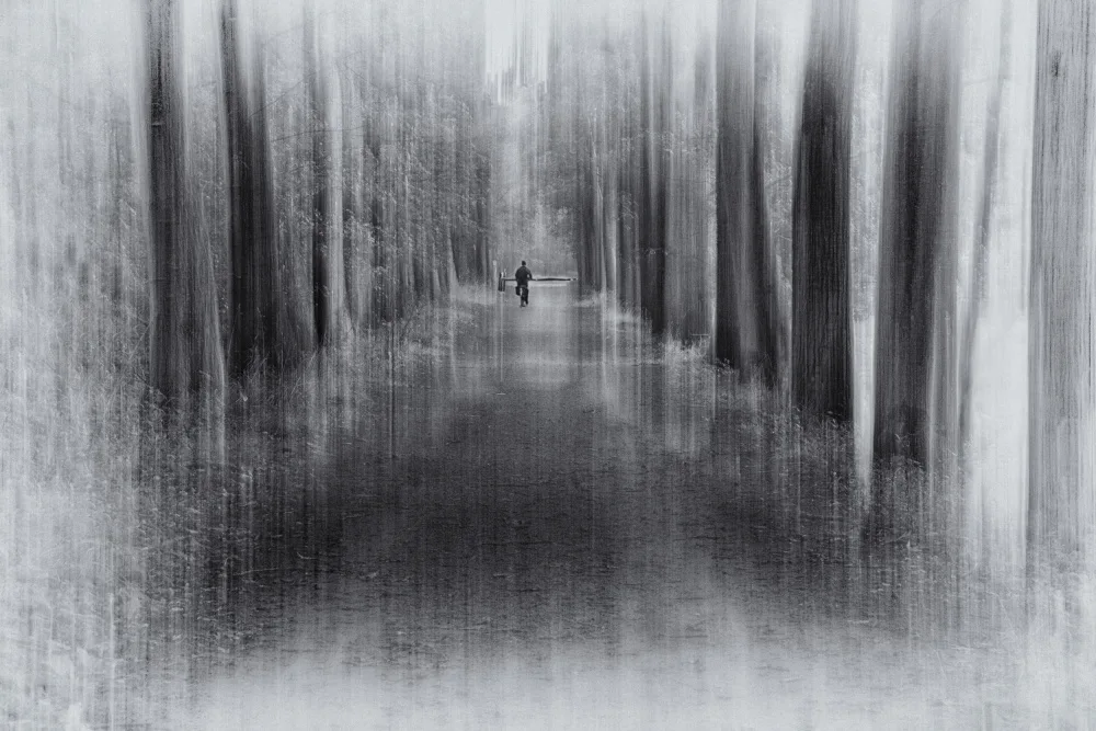 Stas, Marie-anne: The Cyclist