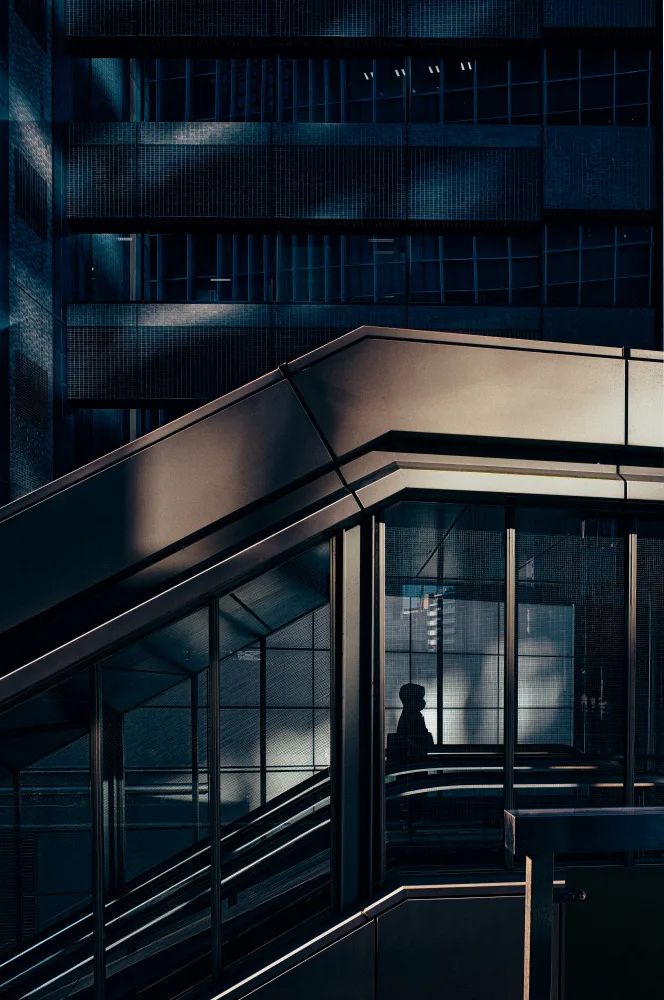 Fujii, Yuzo: Shinjuku Lights& Shadows