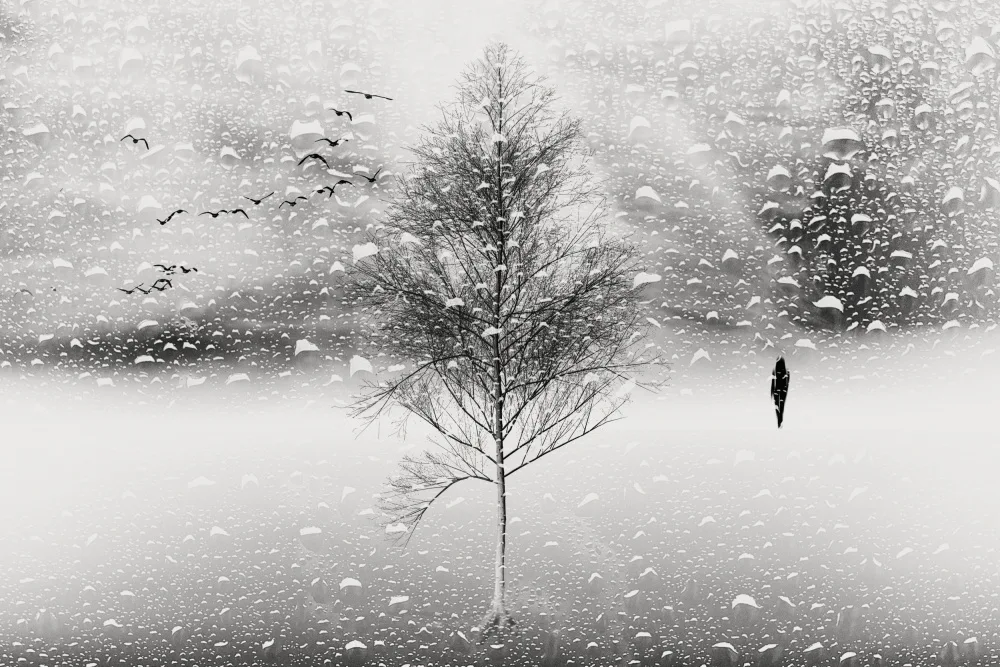 Bogdan, Marchevca: Winter Rain