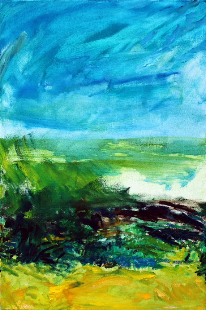 Galonska, Eva: Flaeminglandschaft