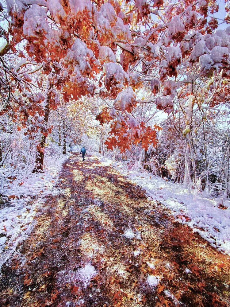 Hu, Mei: The turn of autumn and winter