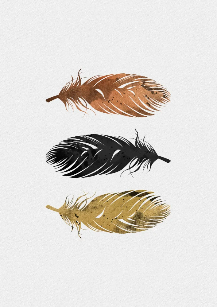 Studio, Orara: Plumes