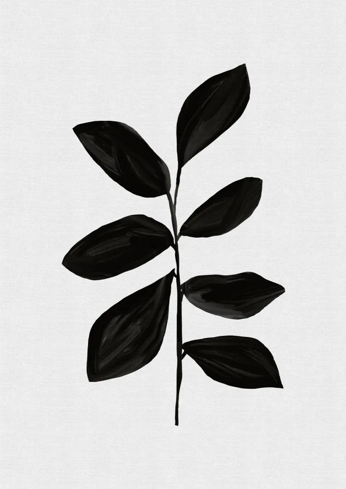 Studio, Orara: Botanico I