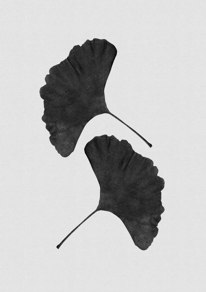 Studio, Orara: Foglia di Ginkgo Bianco e Nero II