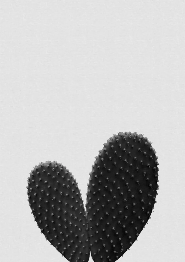 Studio, Orara: Coeur Cactus Noir & Blanc