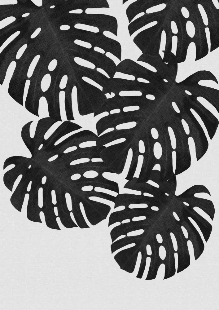 Studio, Orara: Foglia di Monstera in bianco e nero I