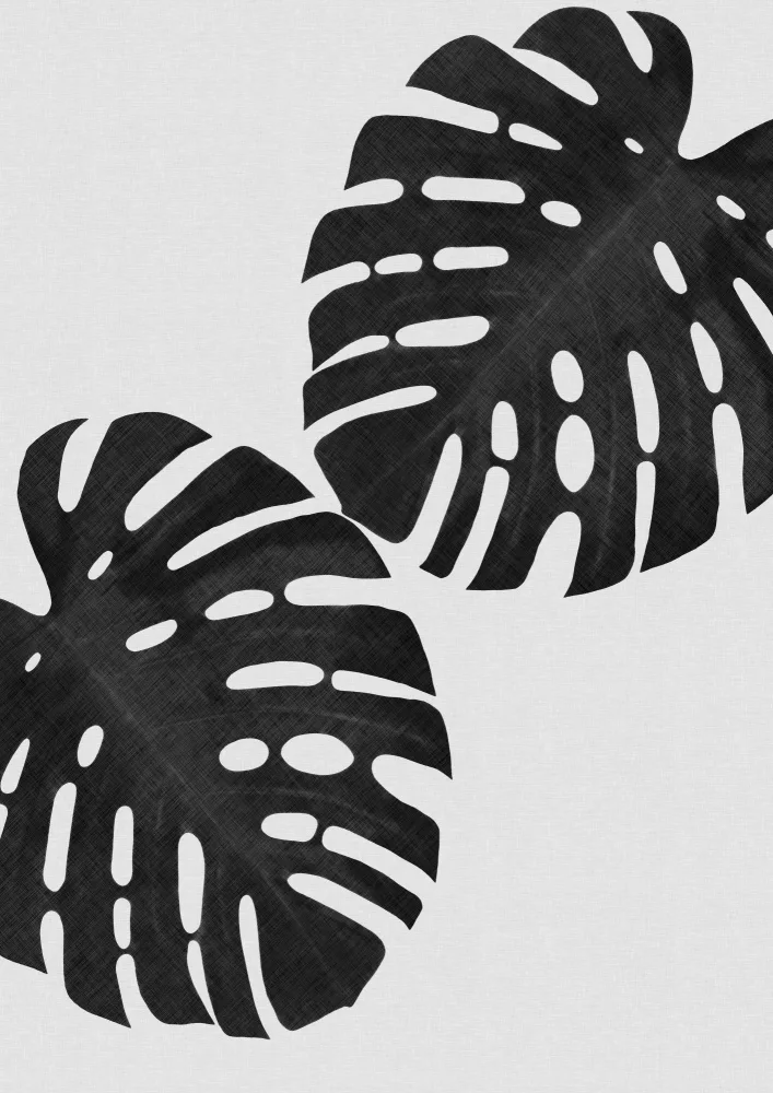Studio, Orara: Foglia di Monstera in bianco e nero II