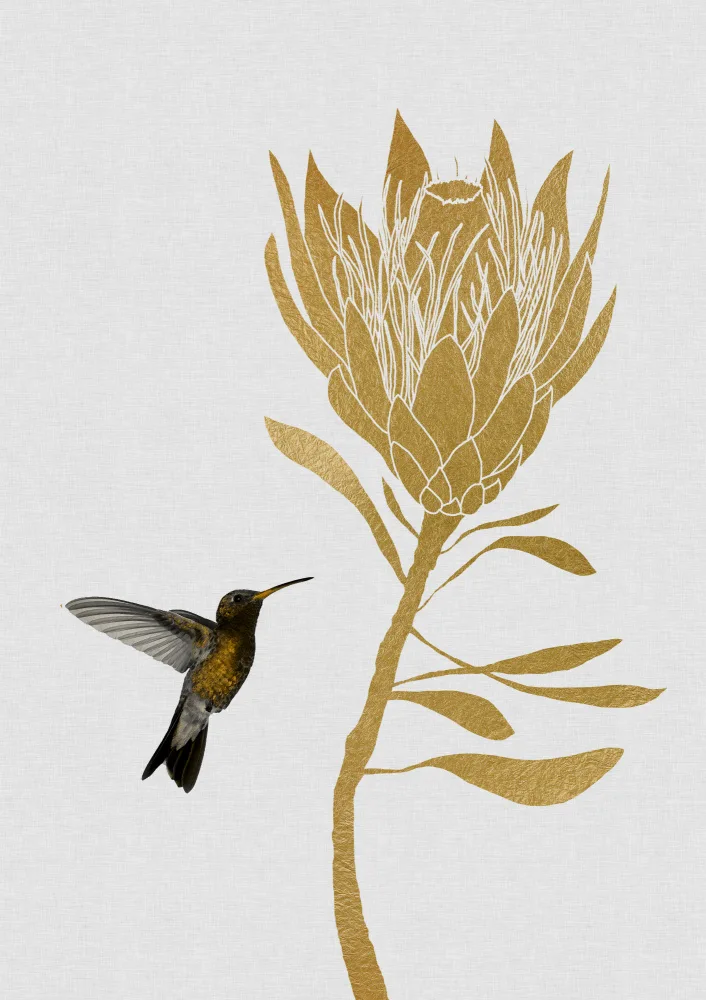 Studio, Orara: Colibri et fleur I