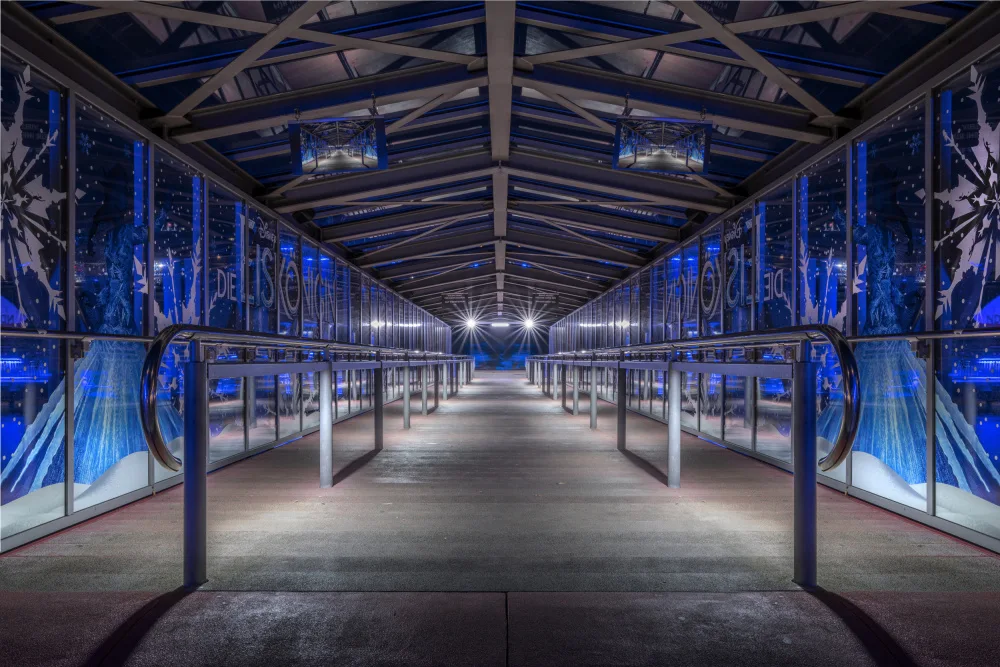 fotomarion: blue