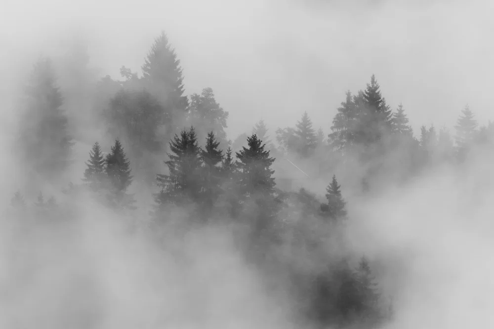 Dauer, Andy: automne