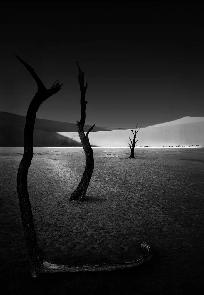 Jiao, Yang: L'albero bruciato a Sossusvlei