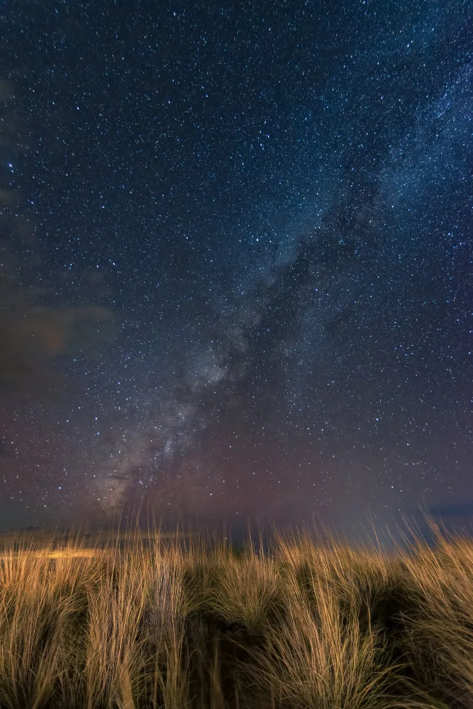 Tang, Lian: A Windy Night