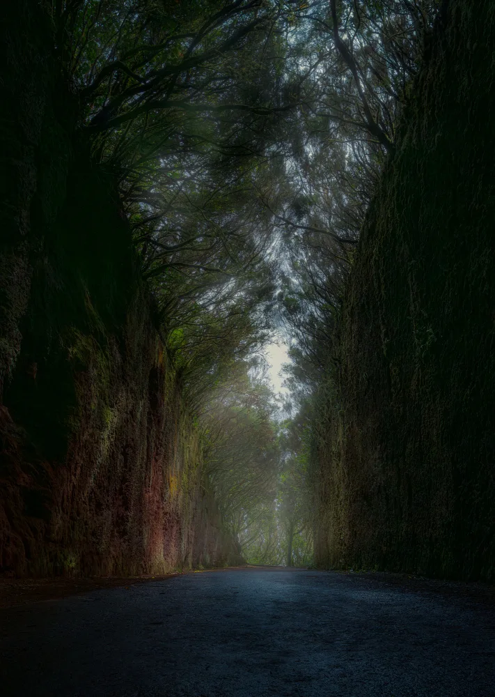 Martínez, Hernández Carlos: camino misterioso