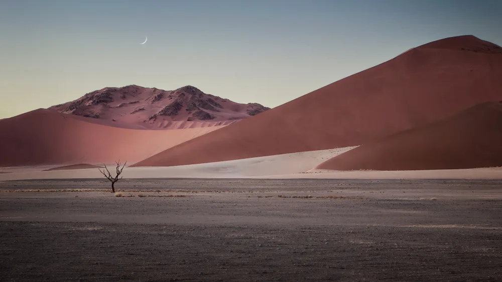 Hongchao, and Gu: Sand dune in Namibia