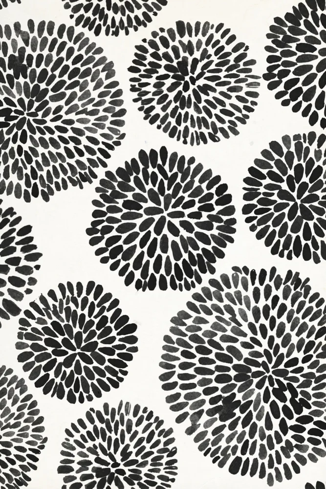 Qui, Fun: SANTAN