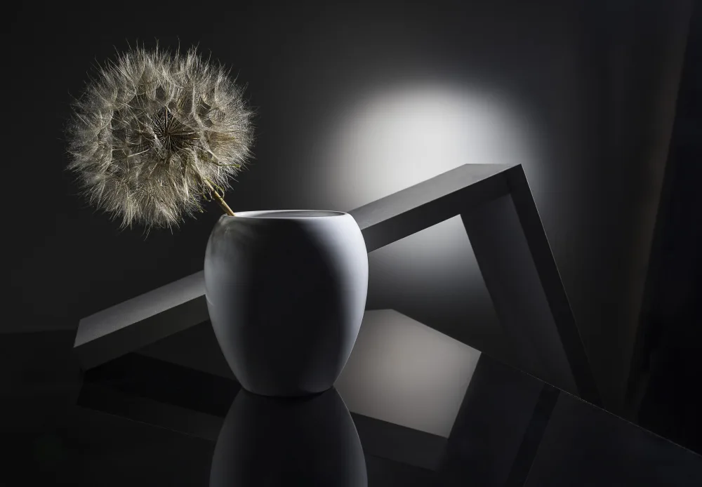 Popov, Evgeniy: "Minimalism and the giant dandelion"