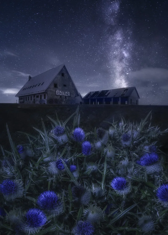 Osuna, Fran: Blaue Nacht
