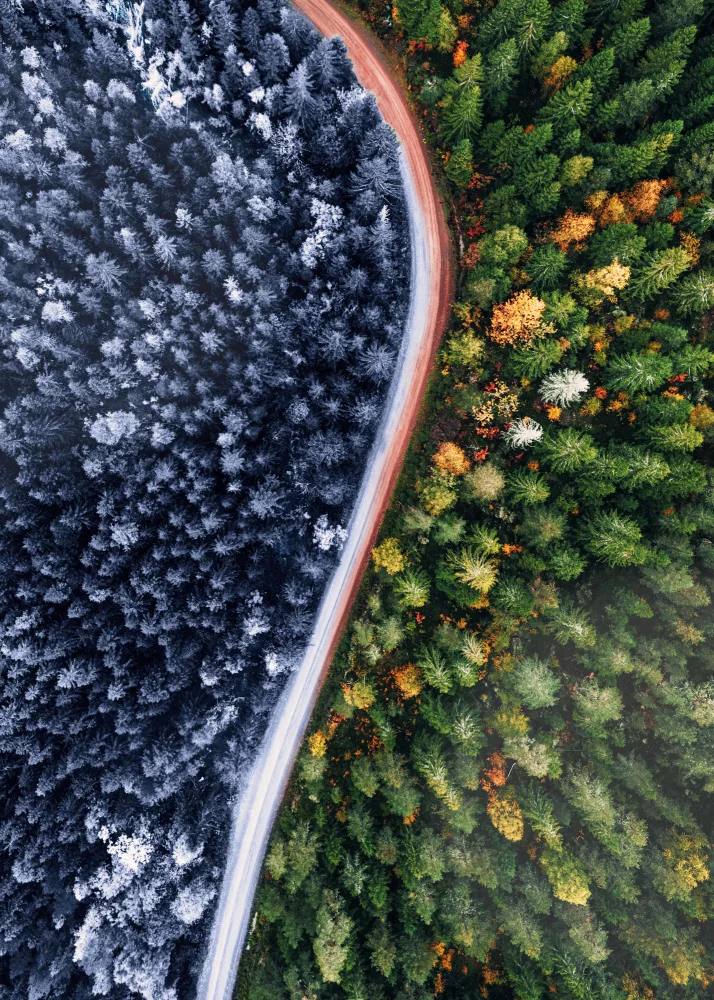 Barizi, Al: Forest Seasons Change