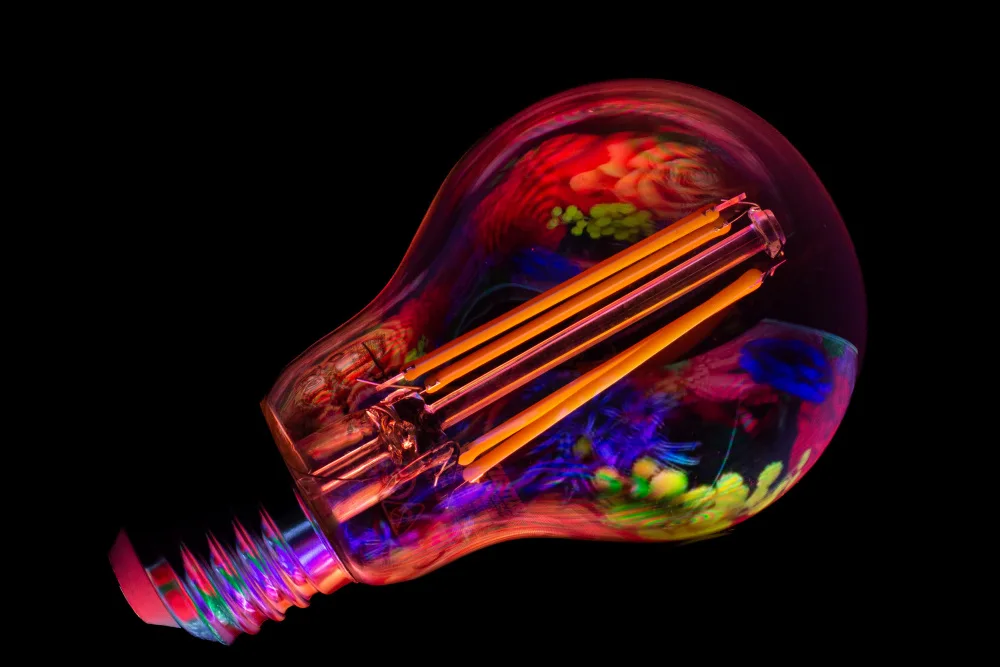 Isbasoiu, Alexandra: Reflection on light bulb