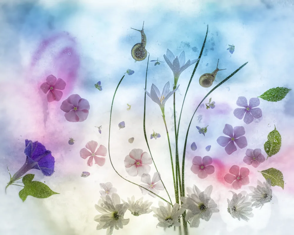 Miharu: poesía azul de septiembre