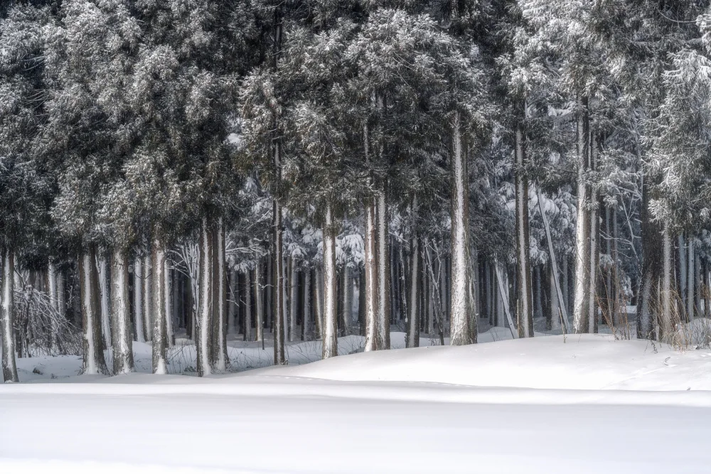 ik: Místo ve stříbrném světě