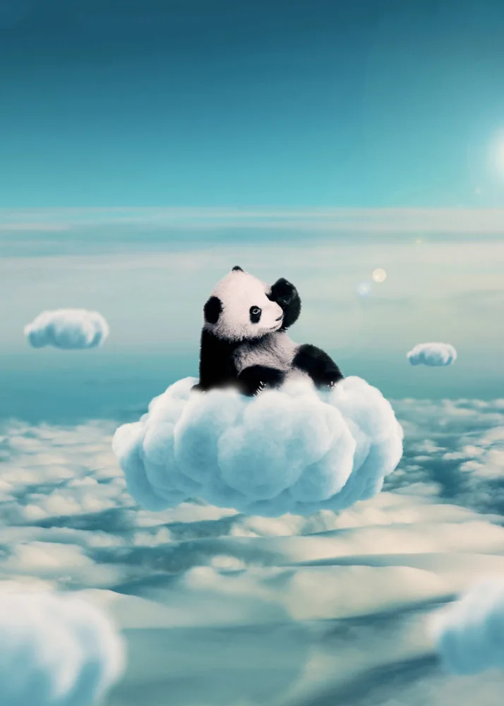 Barizi, Al: Flying Clouds With Baby Panda