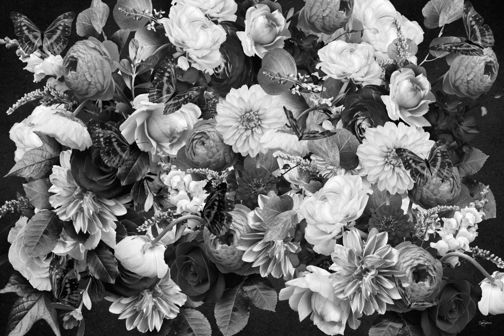 Skellern, Sue: Večer Wal Black & White