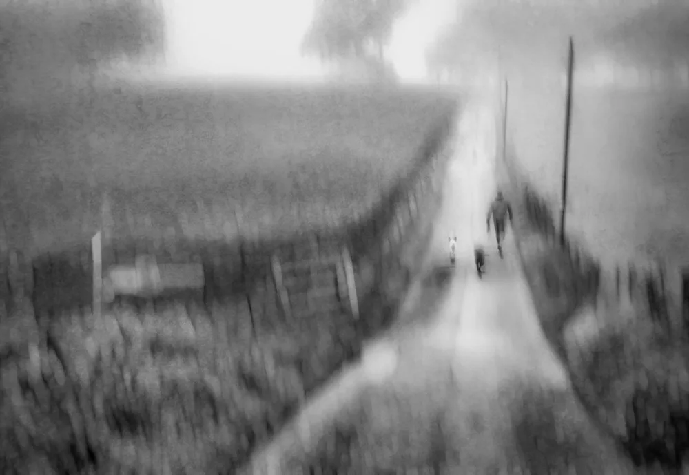 Jassim, Amer: Untitled