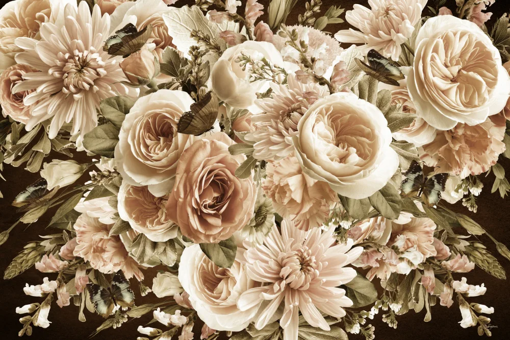 Skellern, Sue: Flores de la mañana sepia