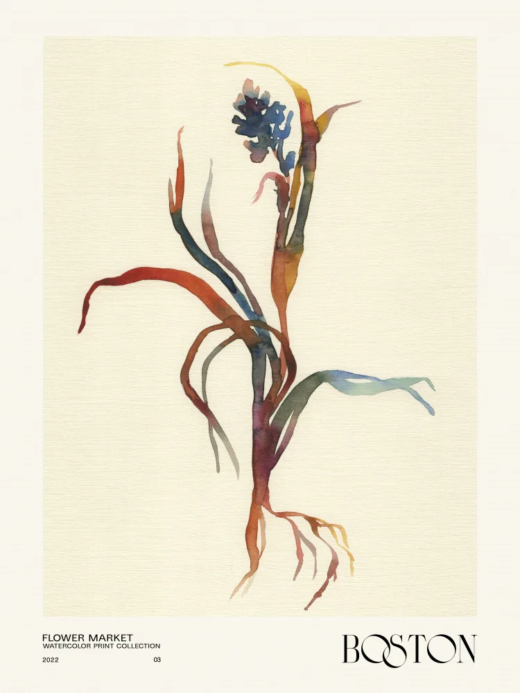 NKTN: Collection d'impressions à l'aquarelle. Marché aux fleurs - Boston