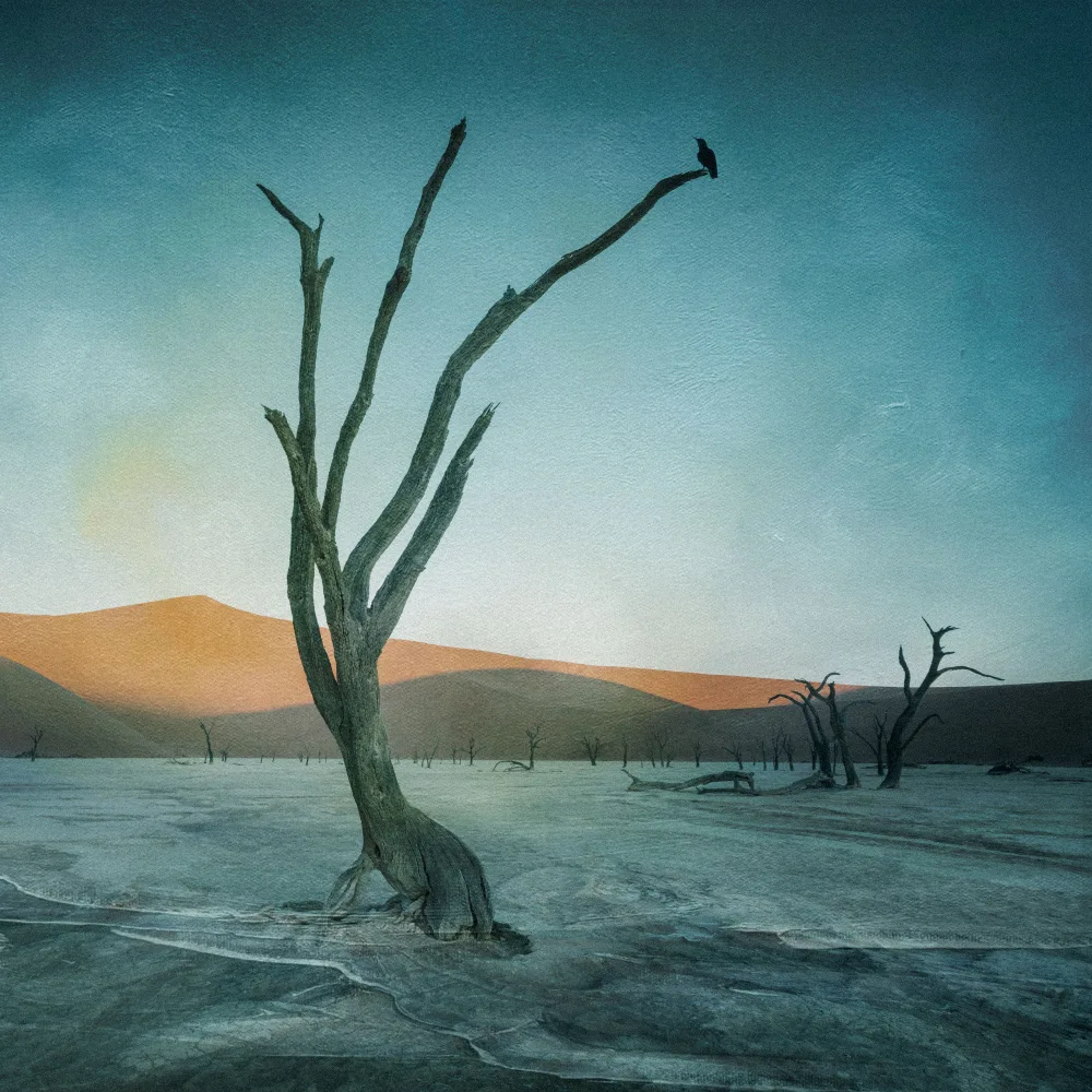 Wei, Willa: Deadvlei