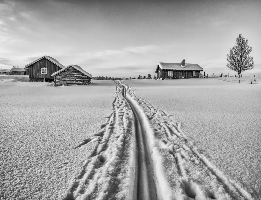 Sundlo, Walter Ole: The winter is here - Norway