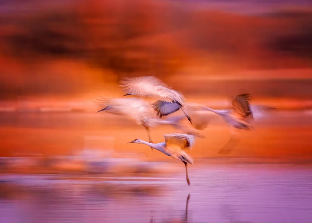 Xiao, Hanping: Balletto aereo