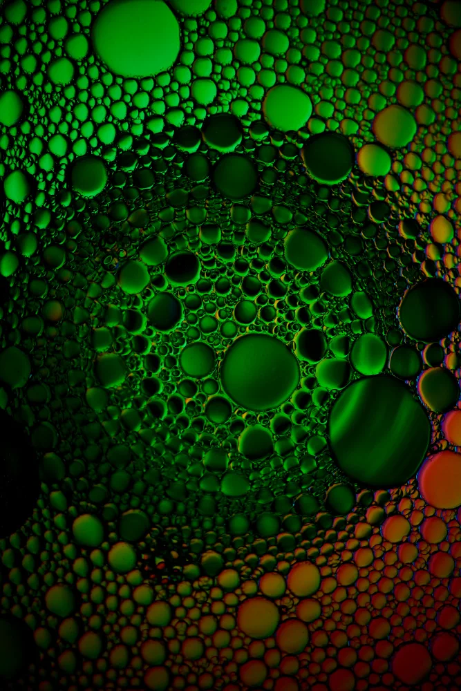 Danilov, Vladislav: Green virus